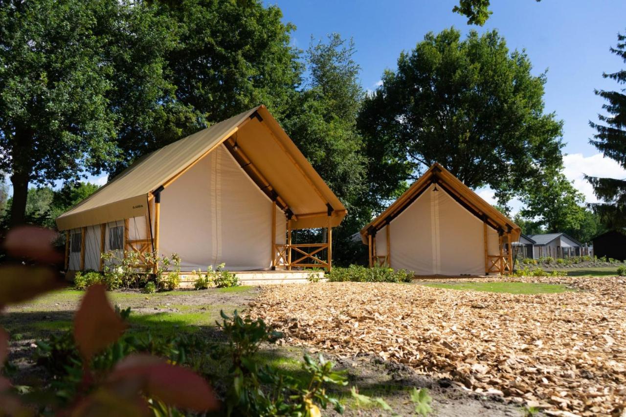 Europarcs Zilverstrand Mol Room photo
