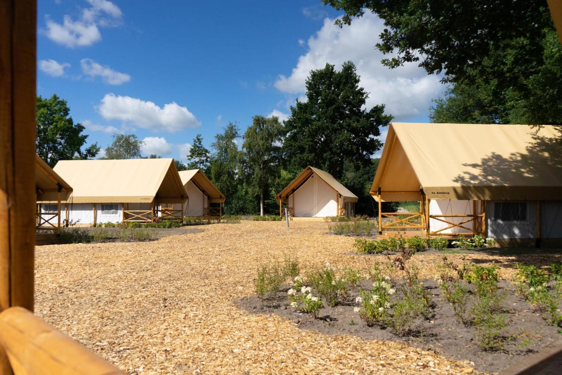 Europarcs Zilverstrand Mol Room photo